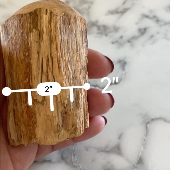 Petrified Wood - Picture 7 of 7